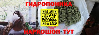 ПСИЛОЦИБИНОВЫЕ ГРИБЫ Ипатово