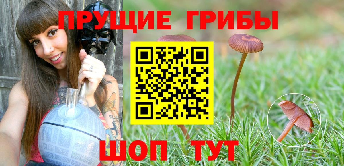 Галлюциногенные грибы GOLDEN TEACHER  Вход с VPN  Волоколамск 